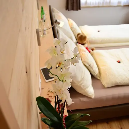 Terminus 쿠블리스