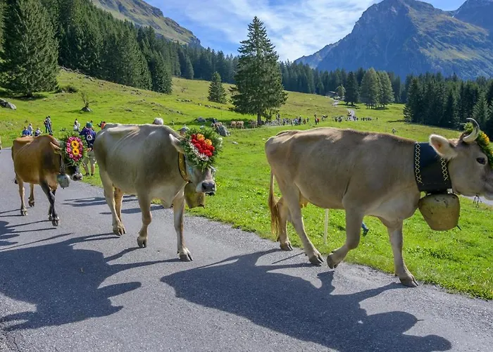 Szálloda Terminus Küblis